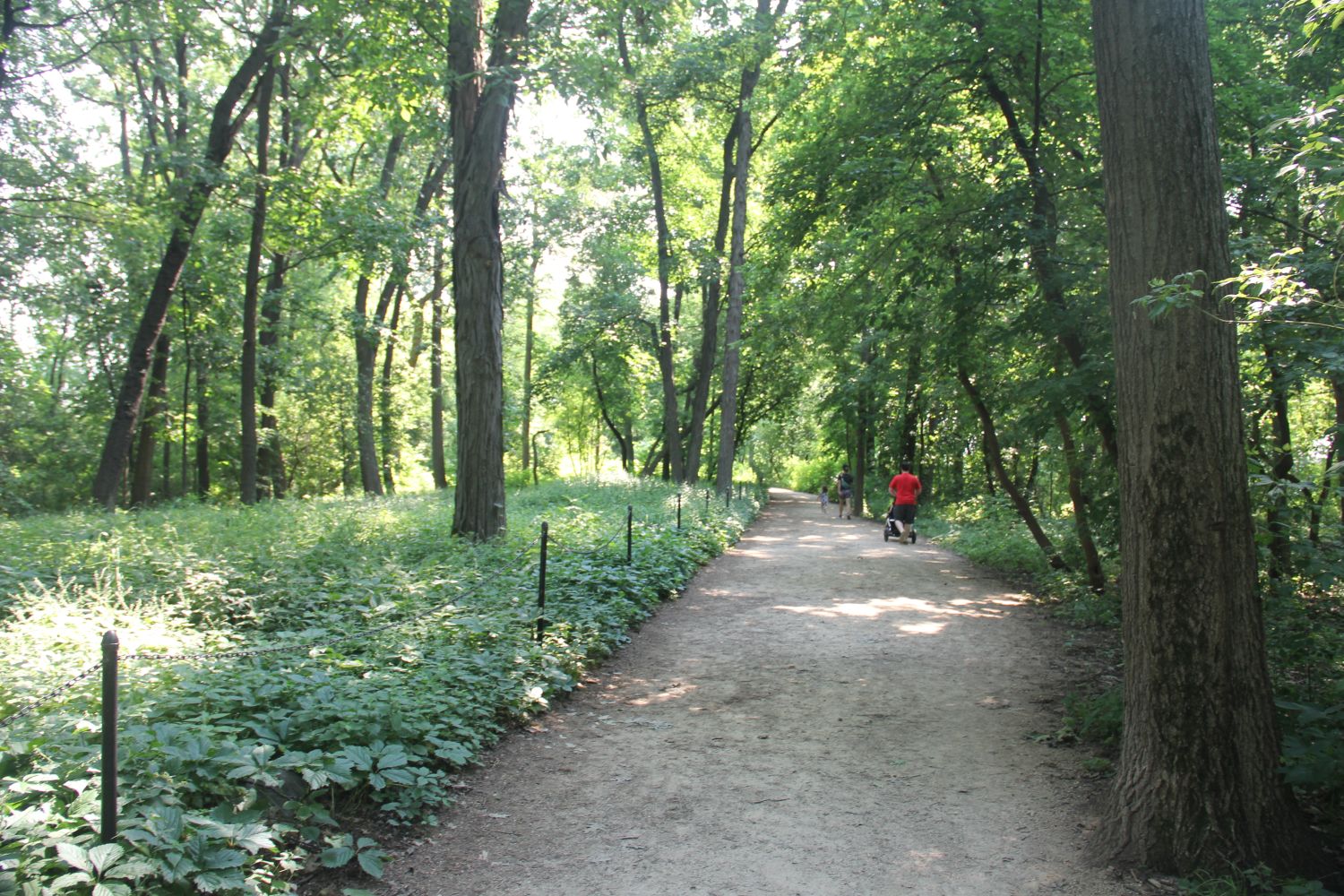 Picnic Point Hike 